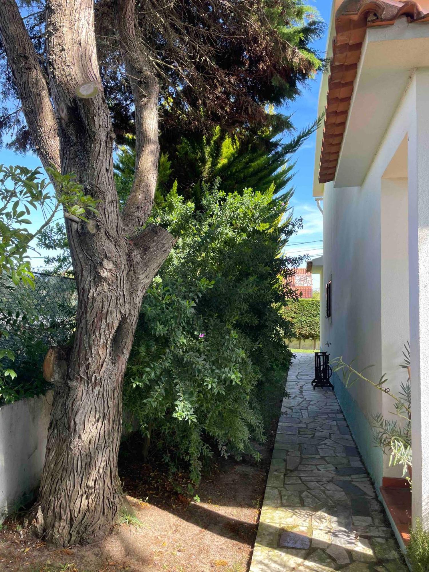 Santa Cruz Beach House Areias Exterior photo